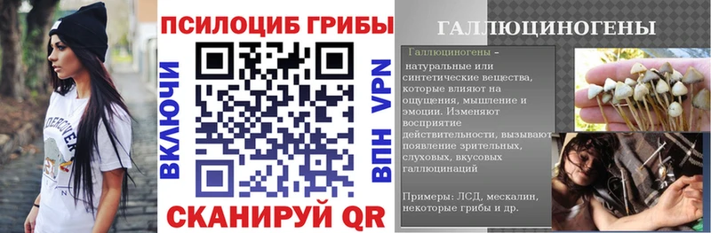 Галлюциногенные грибы Cubensis  продажа наркотиков  Котельники 