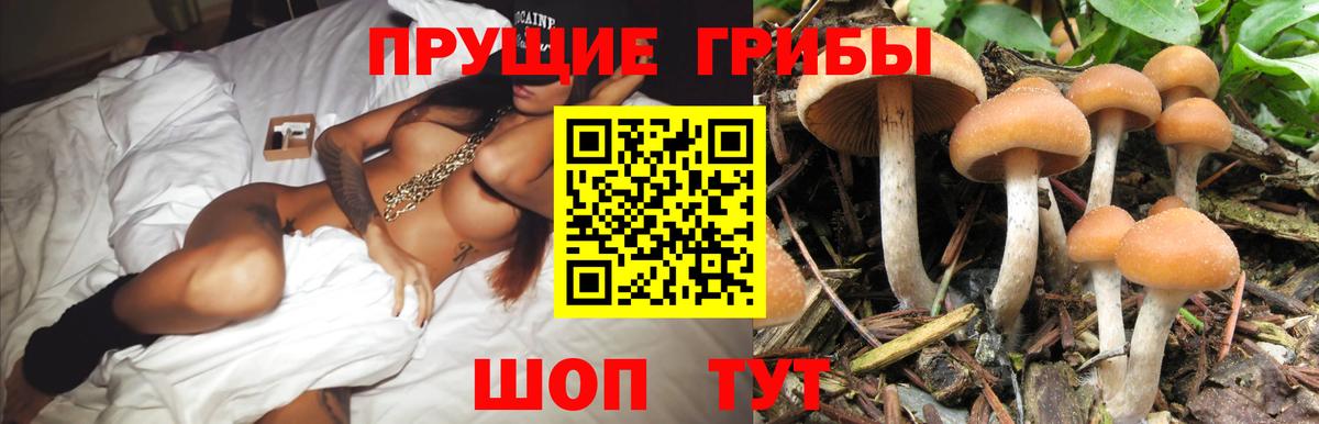 Псилоцибиновые грибы MAGIC MUSHROOMS Котельники